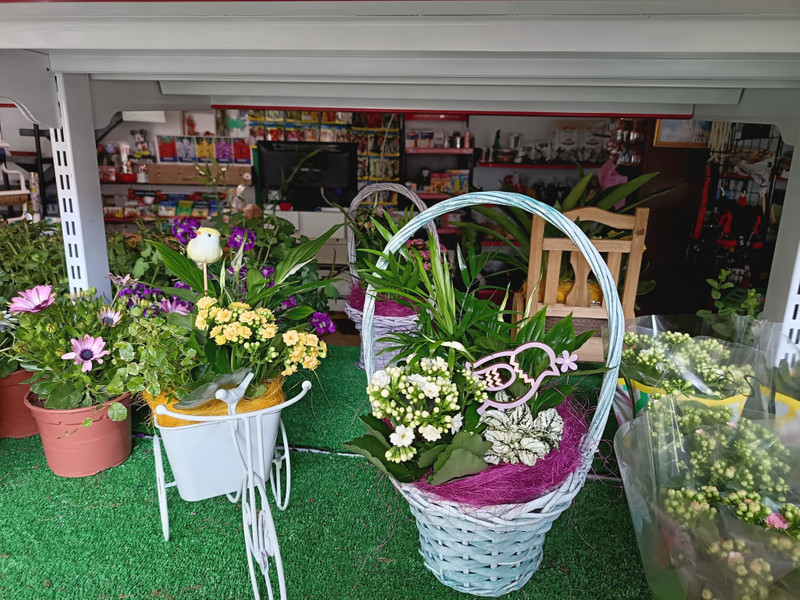 Agro floristería Mario 2