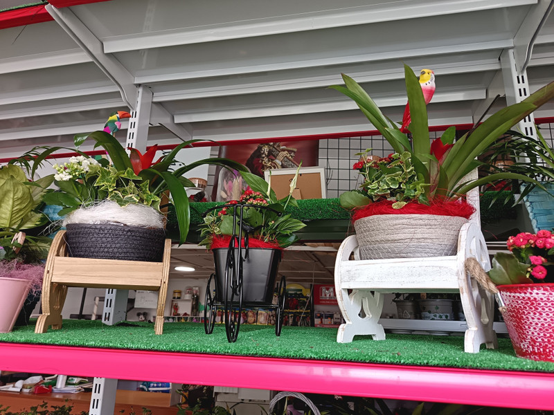 Agro floristería Mario 5