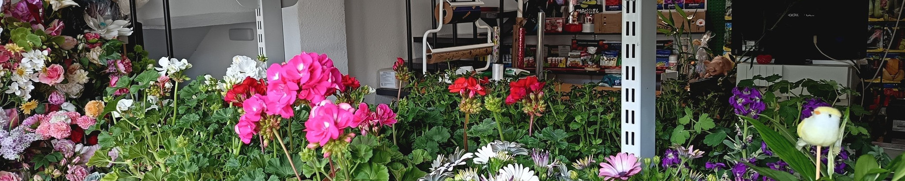 Agro floristería Mario