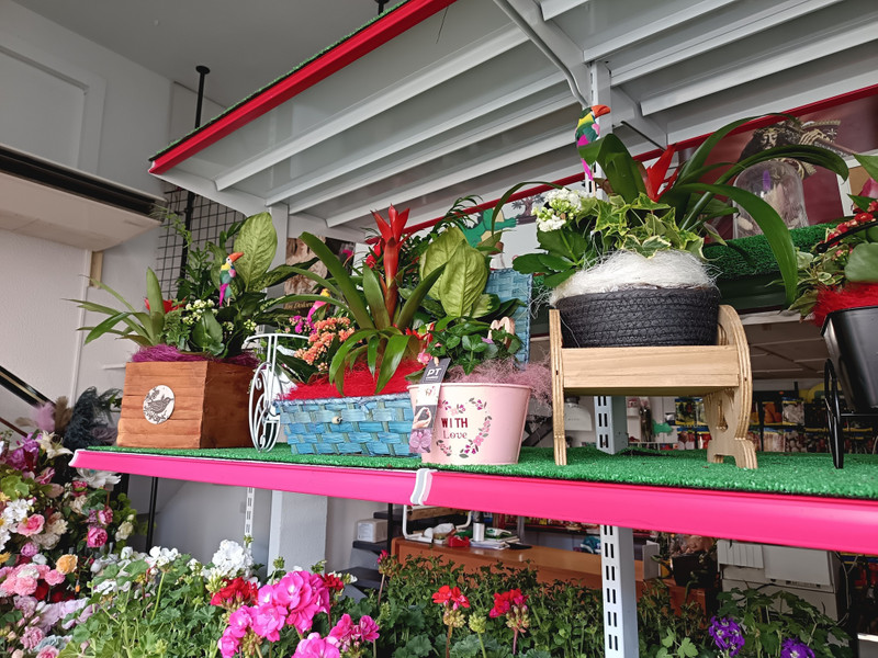 Agro floristería Mario 4