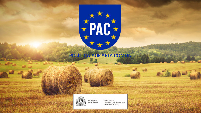 Solicitudes PAC